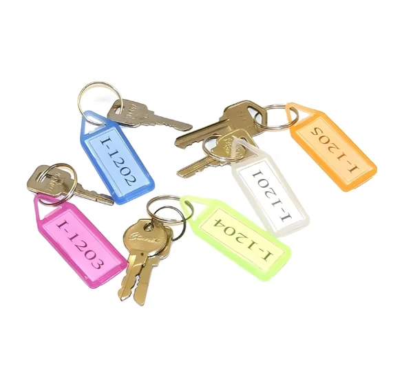 Multicolour Plastic Key Tags with Name Labels